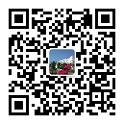 91精品国产91热久久久久福利图书馆